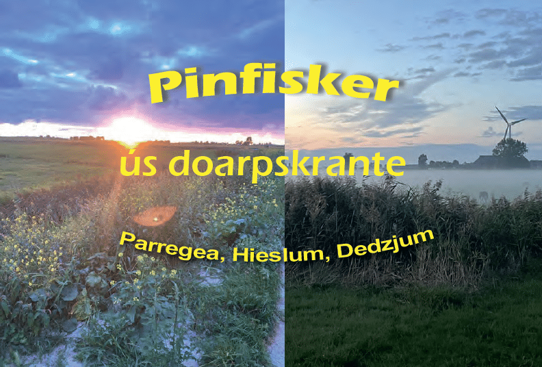 Pinfisker 04-2025